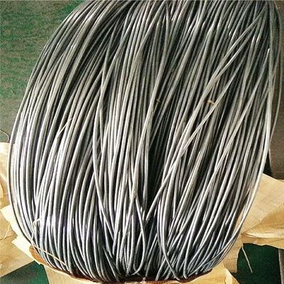 ASTM Stainless Steel Wire Rope 302  0.08mm Full Hard 3mm Steel Cable
